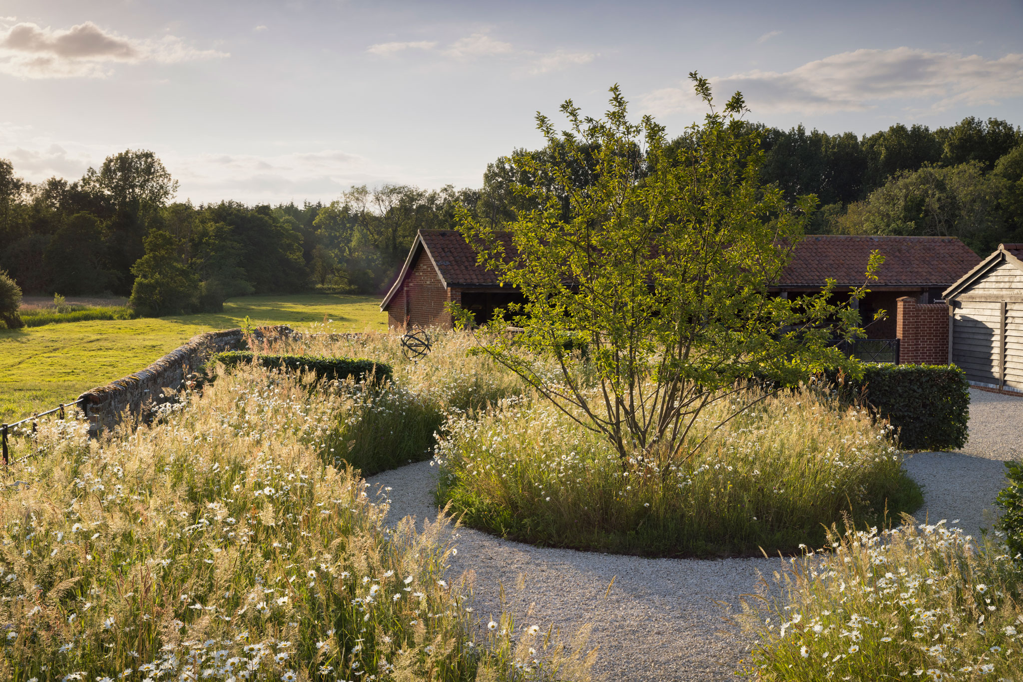 Colm Joseph suffolk landscape garden naturalistic planting design wildflower meadow multi-stem crabapple tree malus wintergold converted barns